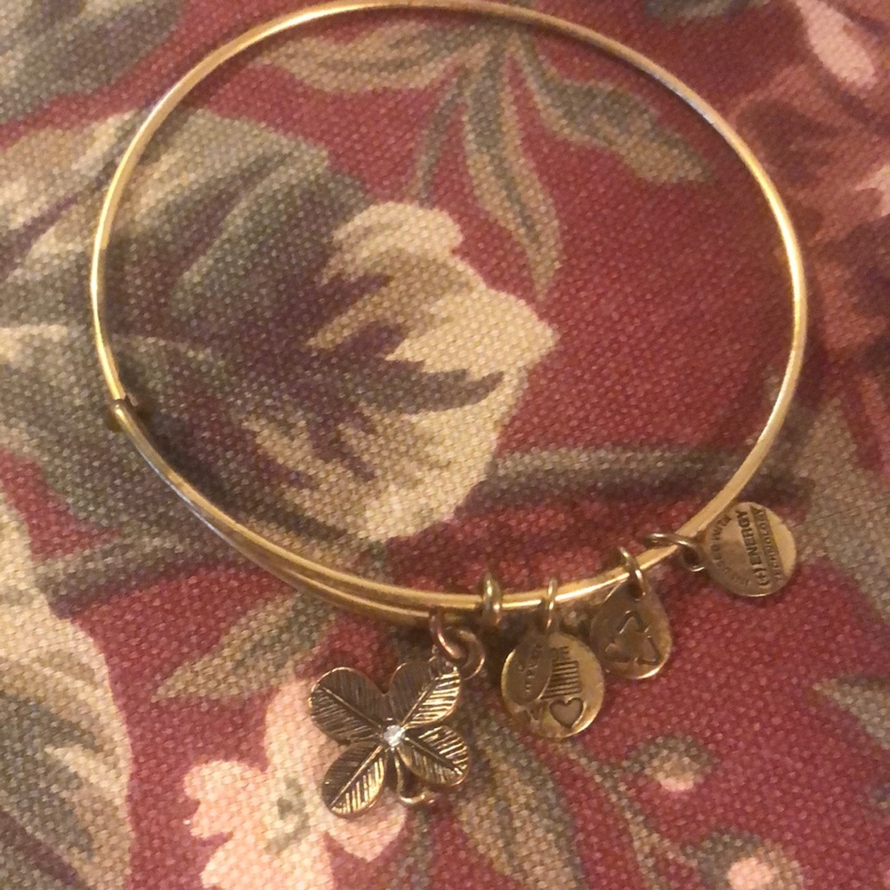 Alex and Ani charm bracelet or leave clover
